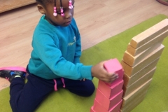 PINK-TOWER-1