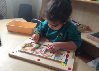 NH_Acorns activities